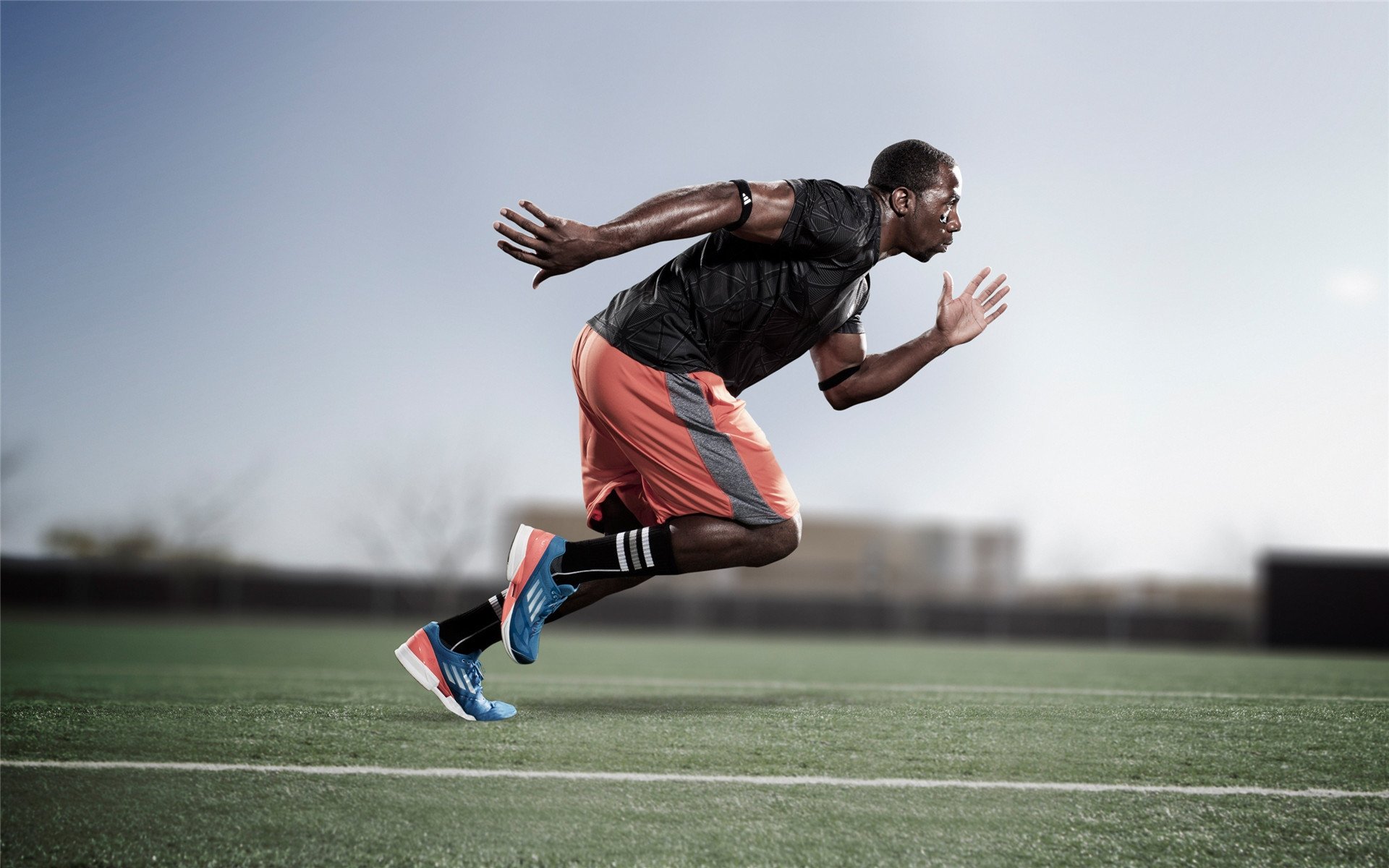 科迪·加克波和多尼尔·马伦在对阵罗马尼亚的比赛中各有建树,助荷兰队晋级八强。